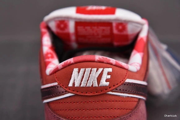 Low Nike Red SB Dunk 313170-661 Concepts Lobster 0211